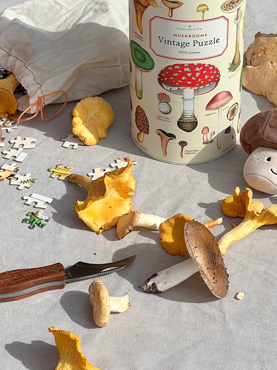 Vintage puzzle, Mushrooms (1000 pcs)