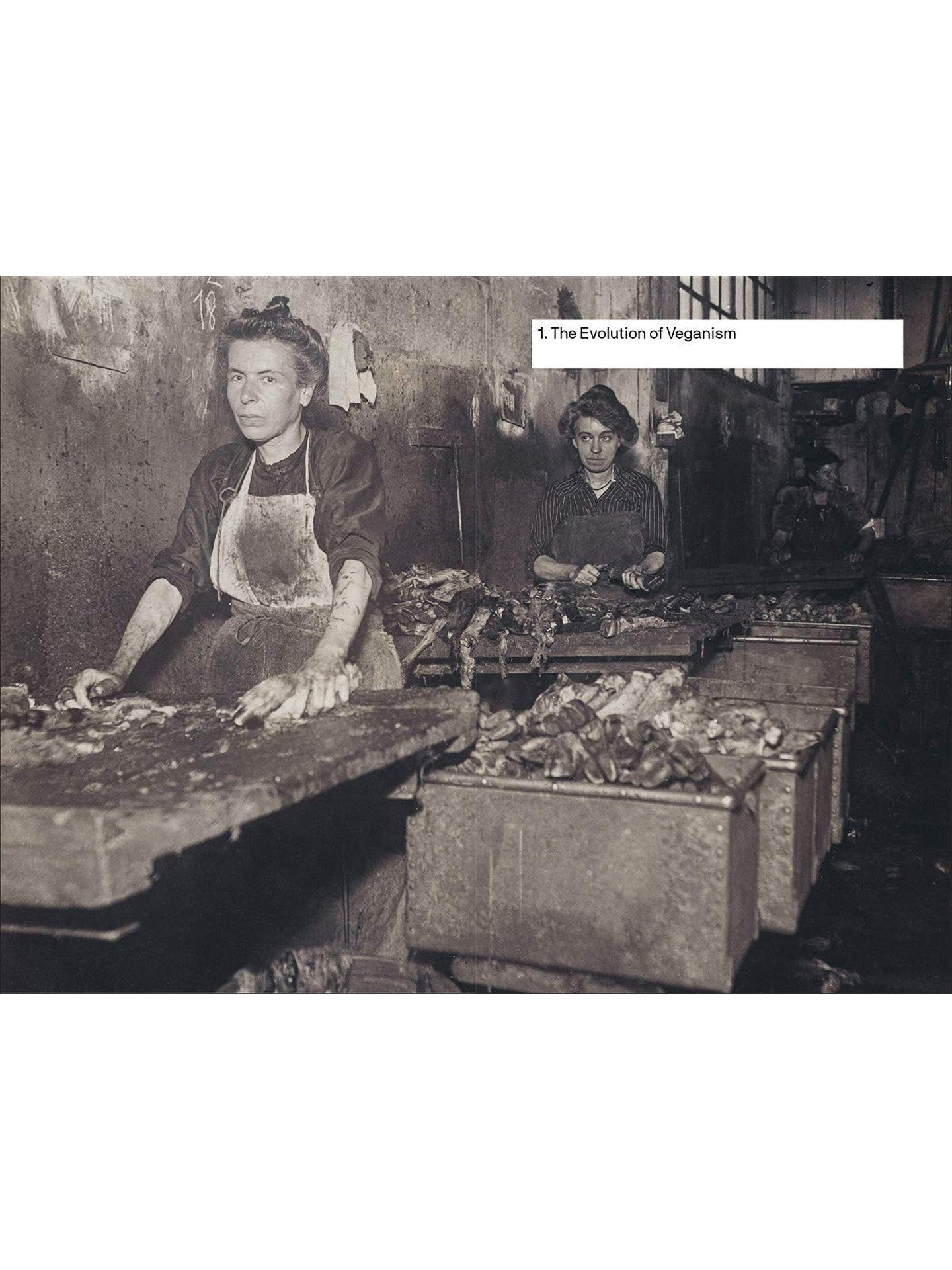 Should We All Be Vegan?