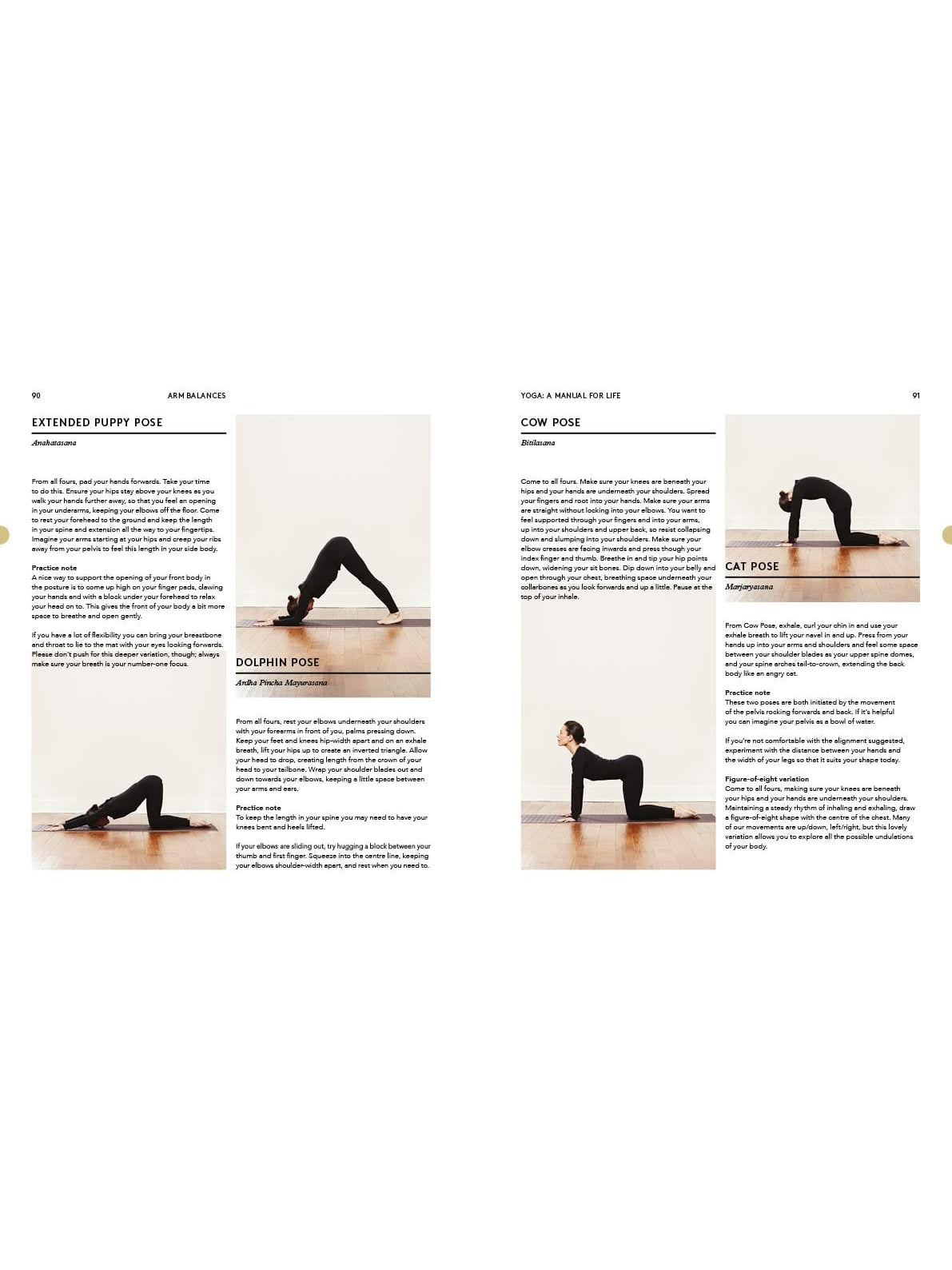 Yoga: a manual for life