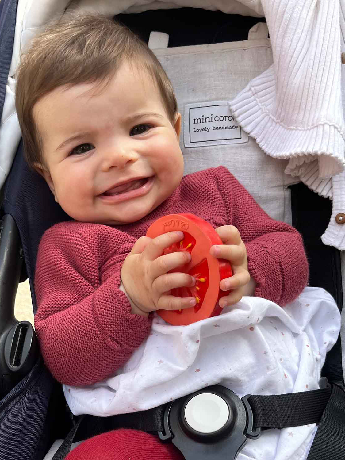 Renato the Tomato teether