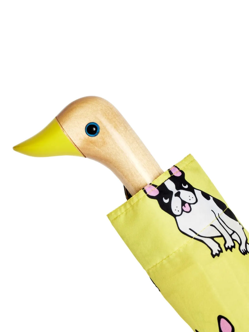 Duck umbrella, french bulldog - Coucou Suzette x Original Duckhead collab