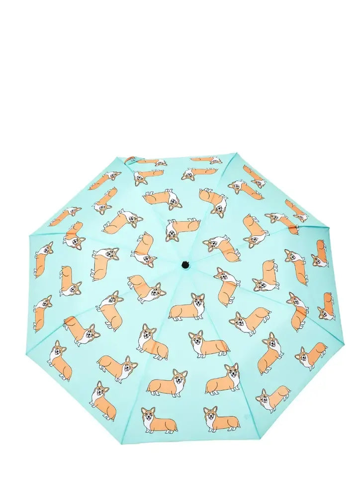 Duck Umbrella, Corgi - Coucou Suzette Collabo