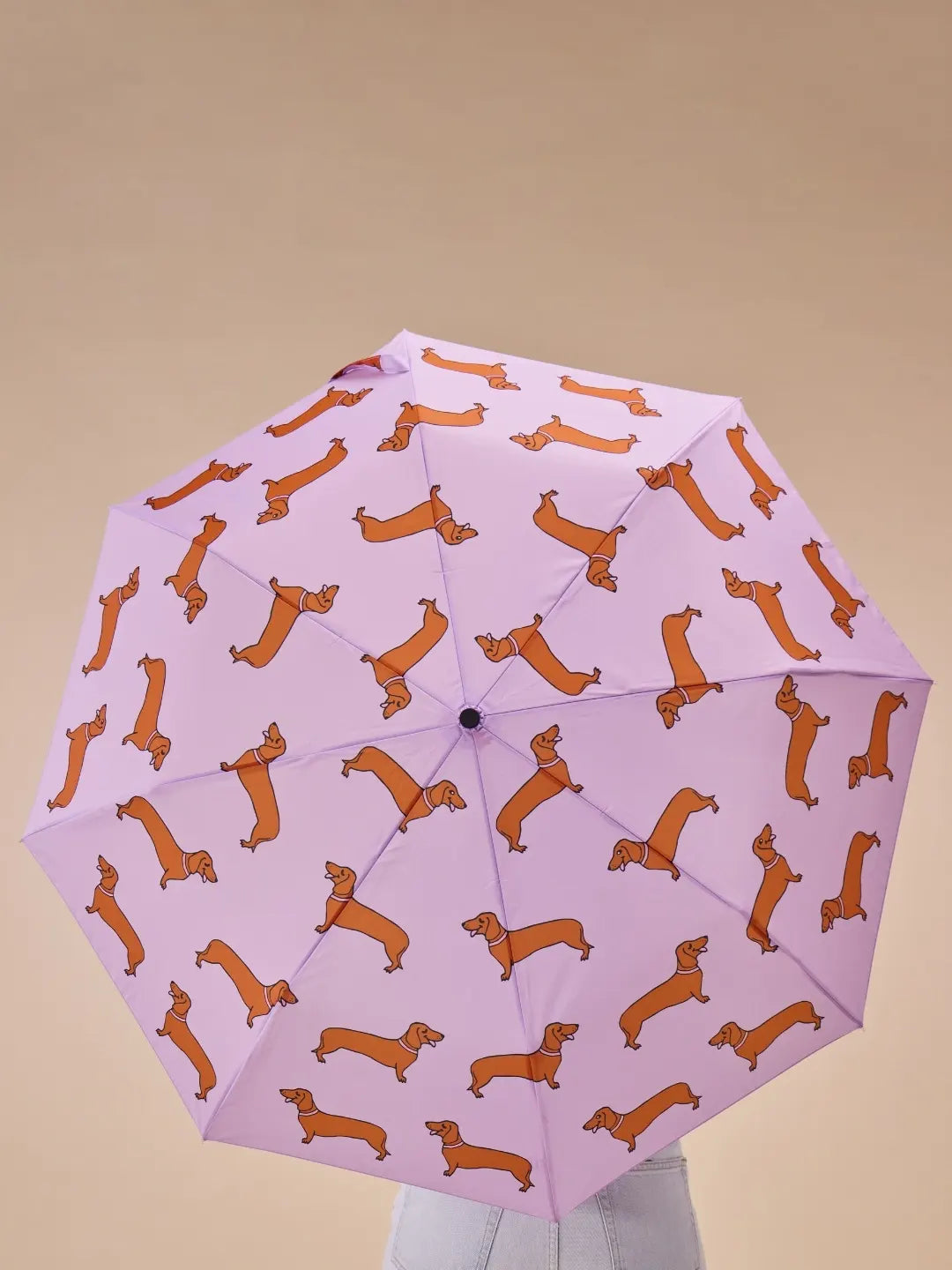 Duck Umbrella, Sausage Dog - Coucou Suzette Collabo