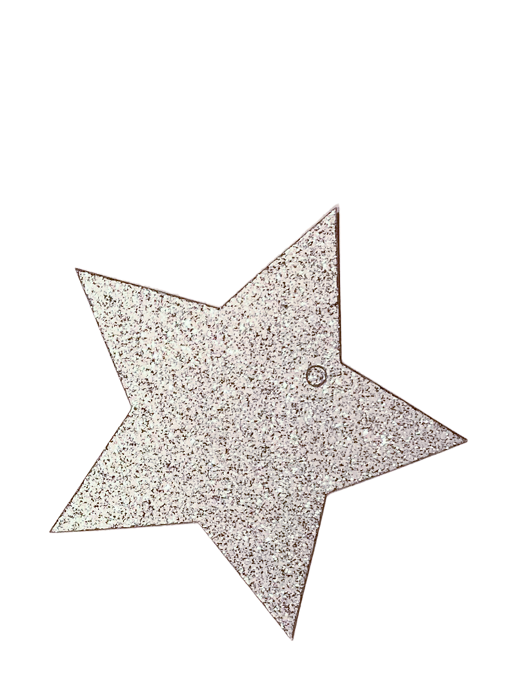 Gift tag glitter star