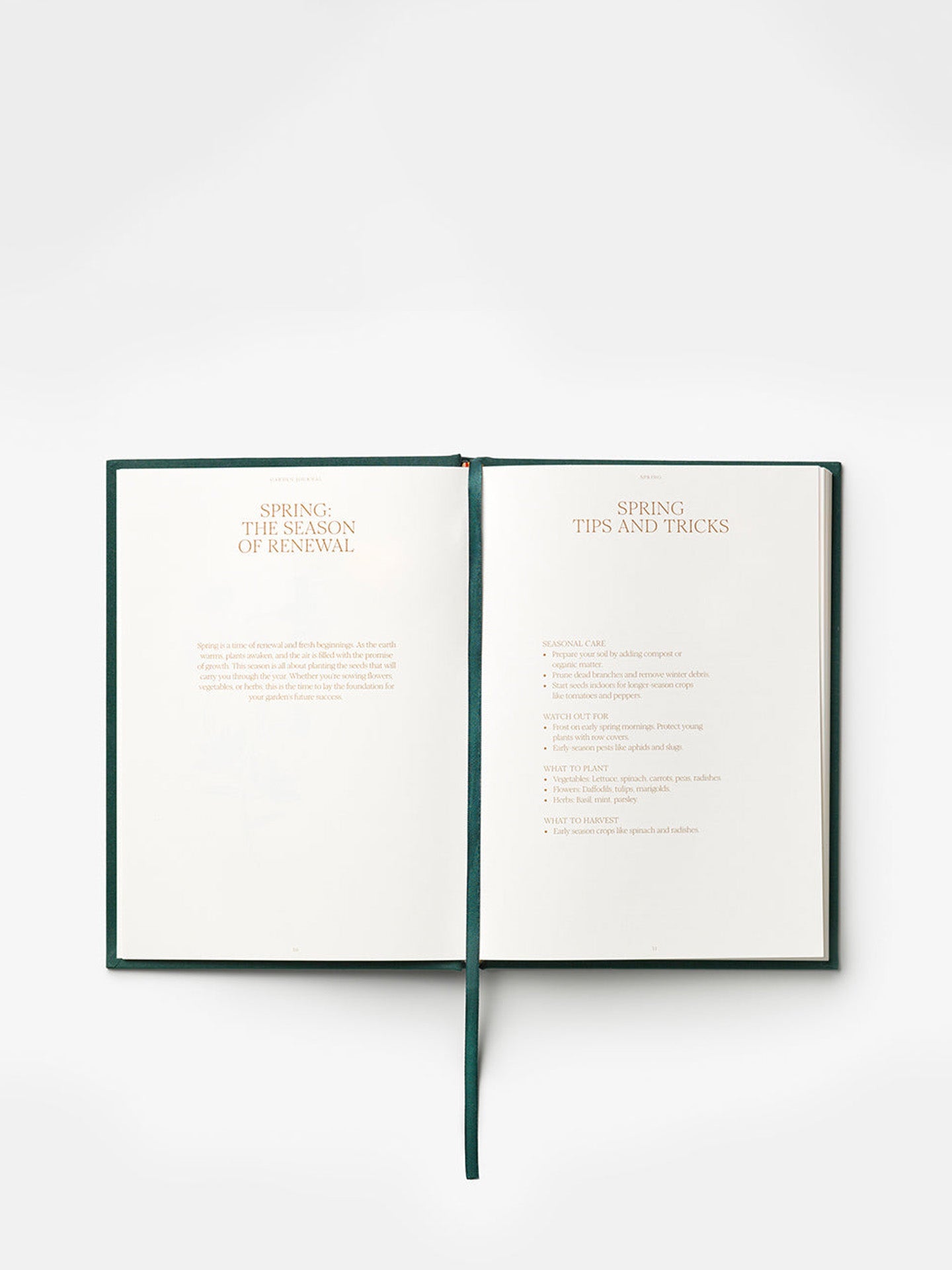 Garden journal, The Secret garden