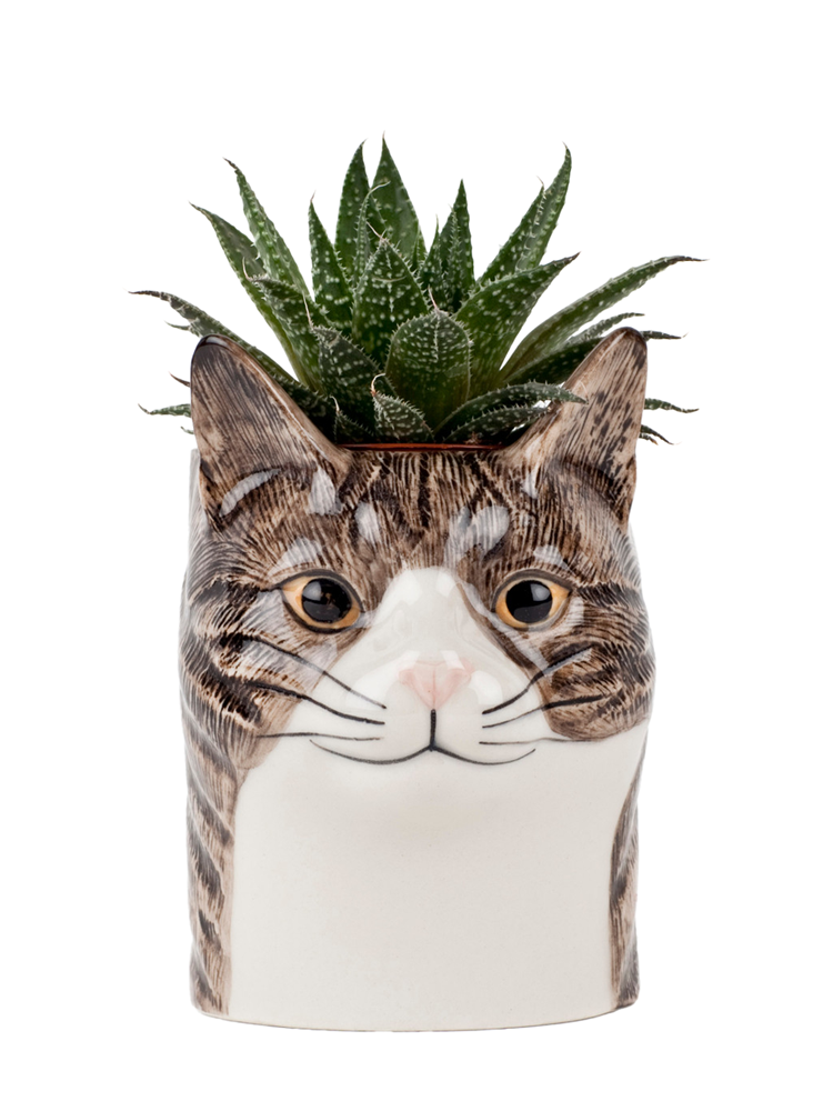 Millie cat pencil pot