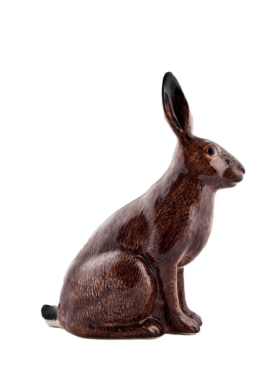Hare money box