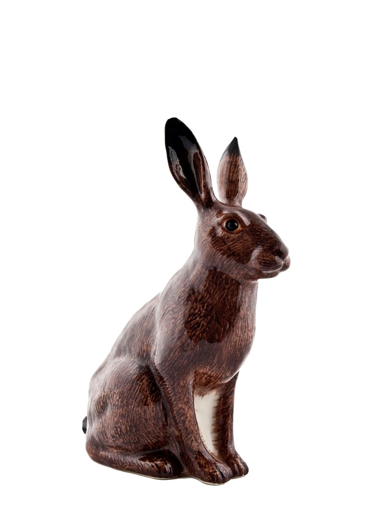 Hare money box