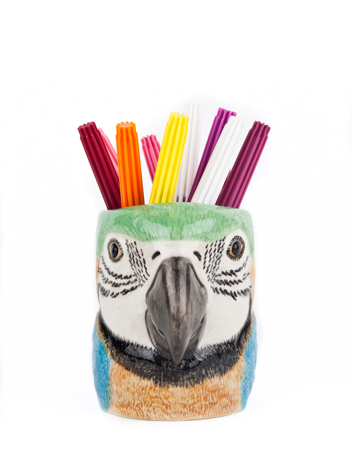 Macaw pencil pot