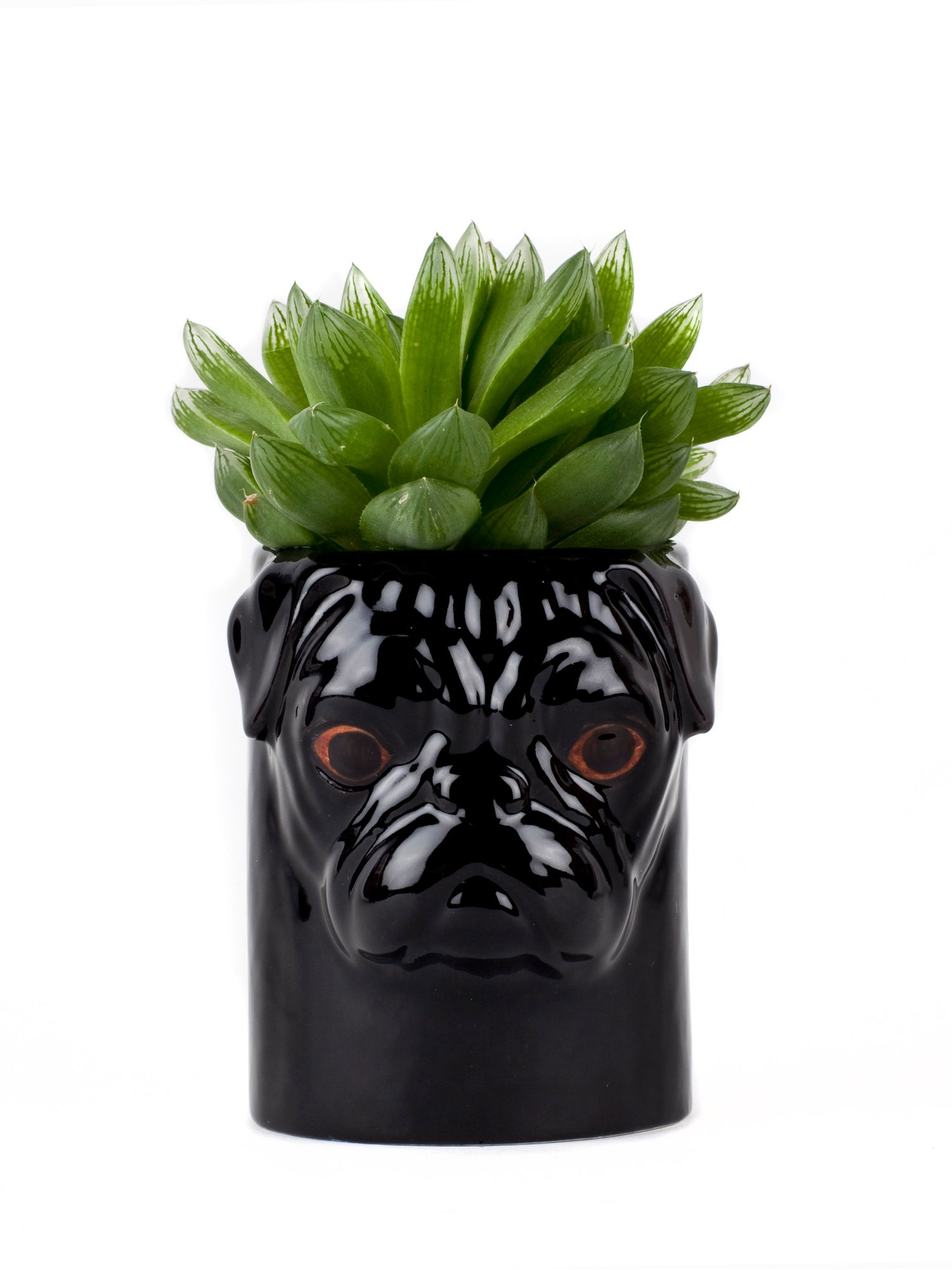Pug Pencil Pot