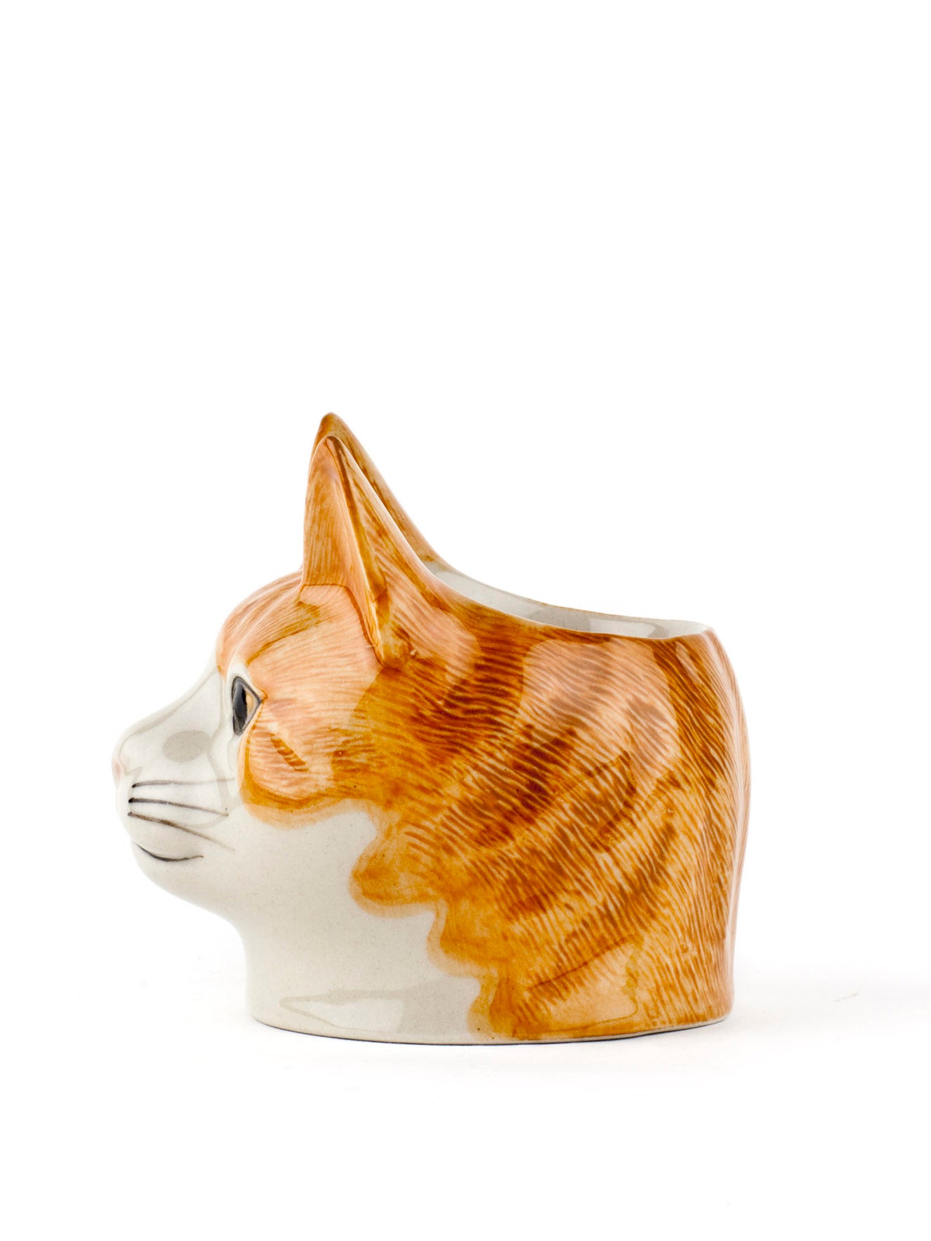 Squash cat egg cup