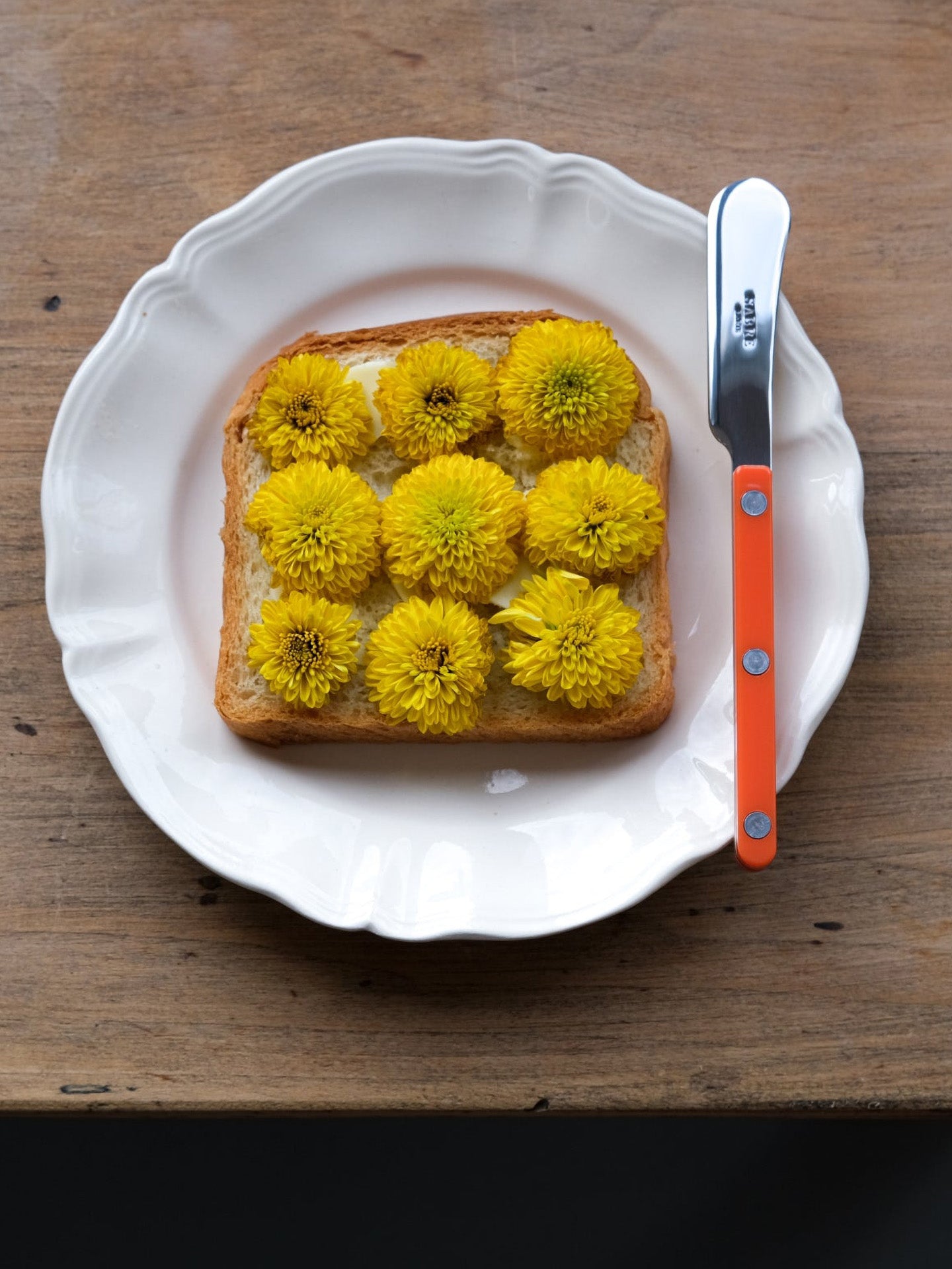 Bistrot spreader, 22 colours