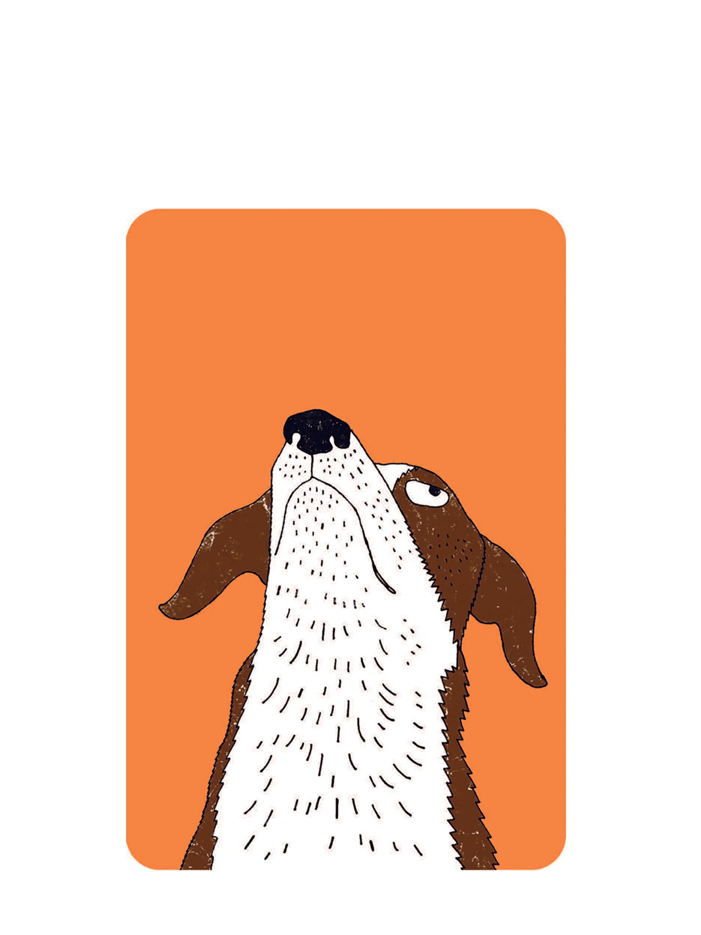 School For Dogs (and their humans): Fifty cards with tips and tricks for dogs and their owners