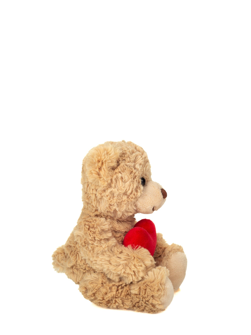 Teddy bear with heart soft toy (20 cm)