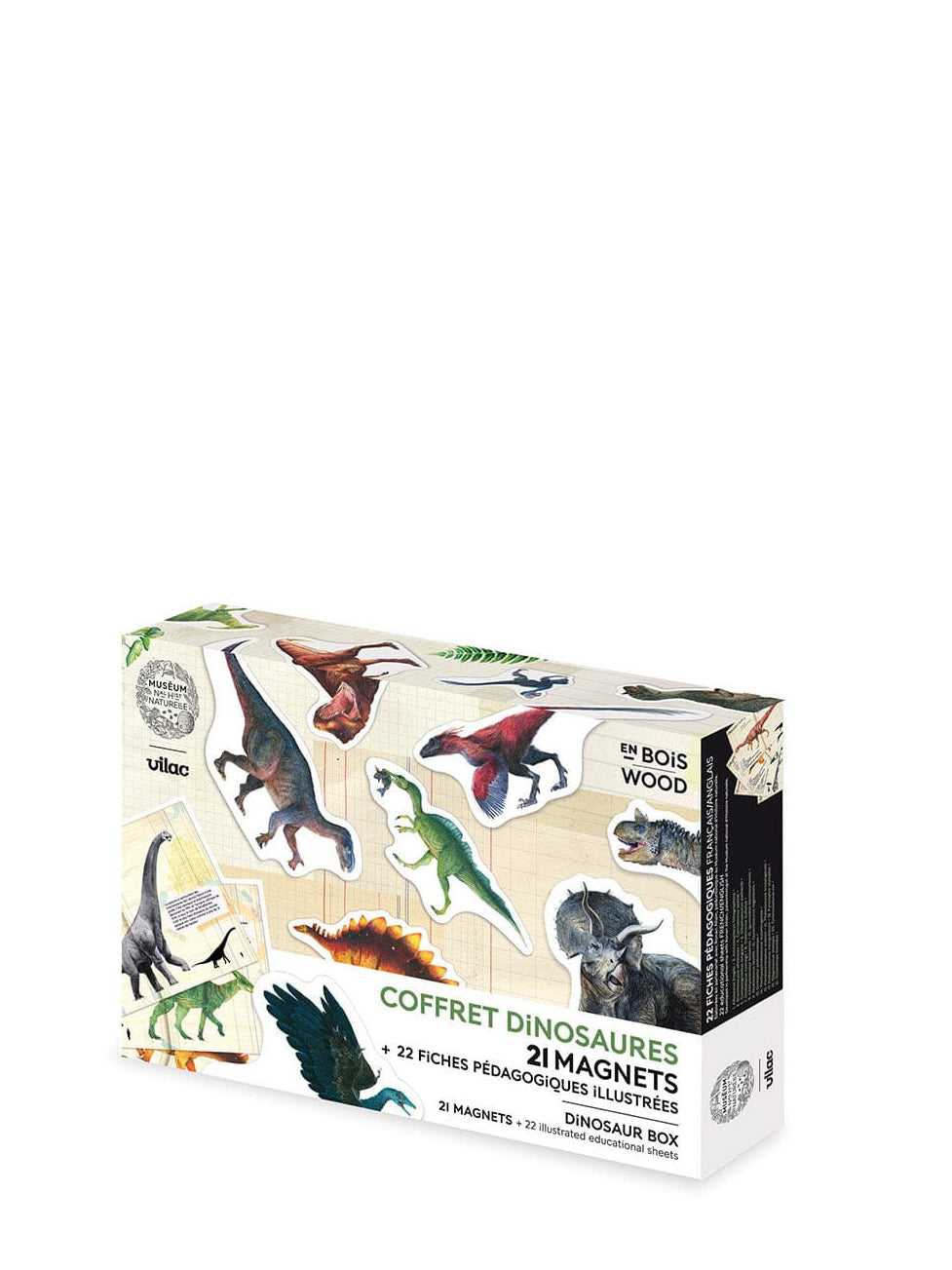 Dinosaur magnets