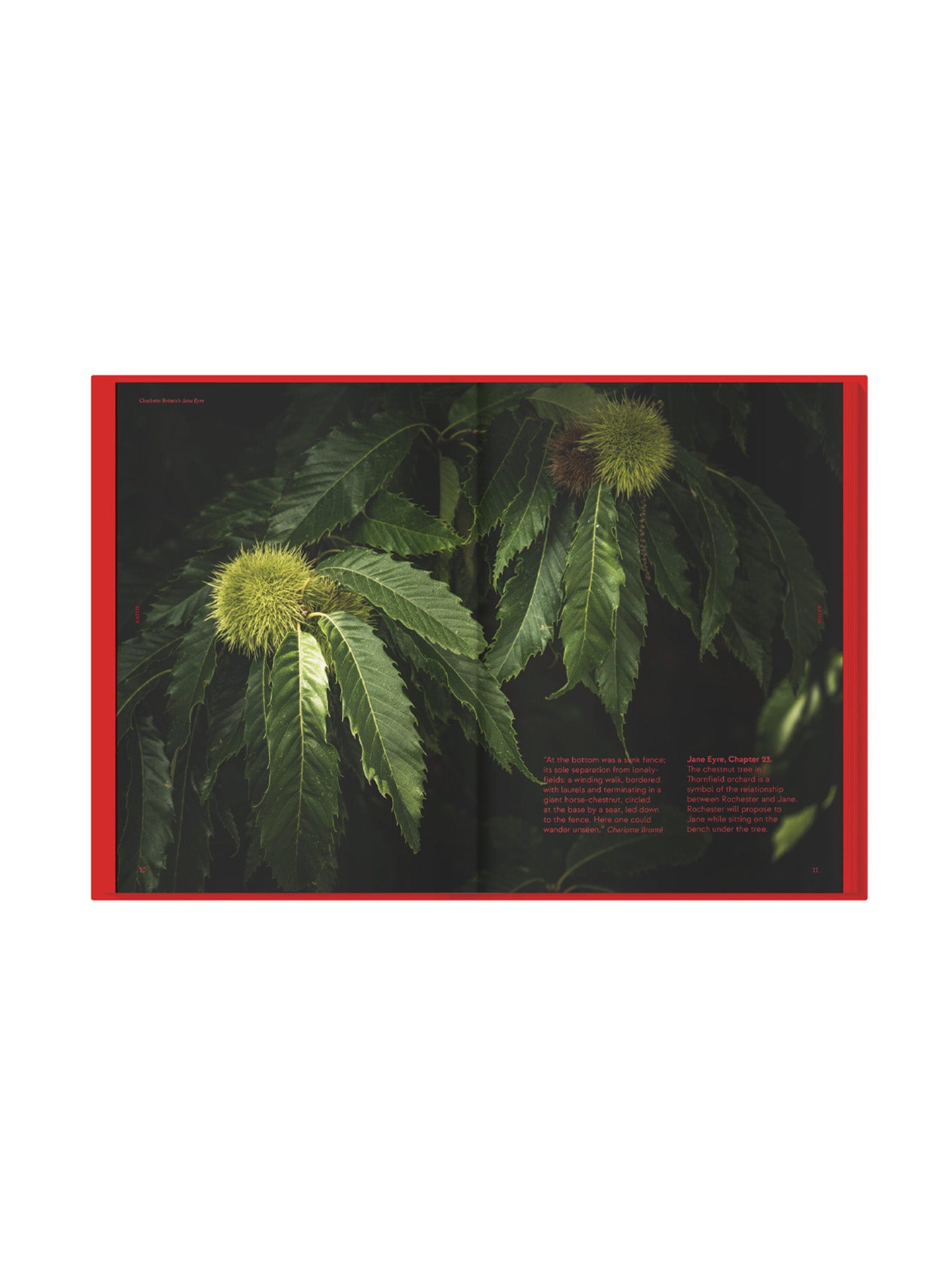 Jane Eyre by Charlotte Brontë