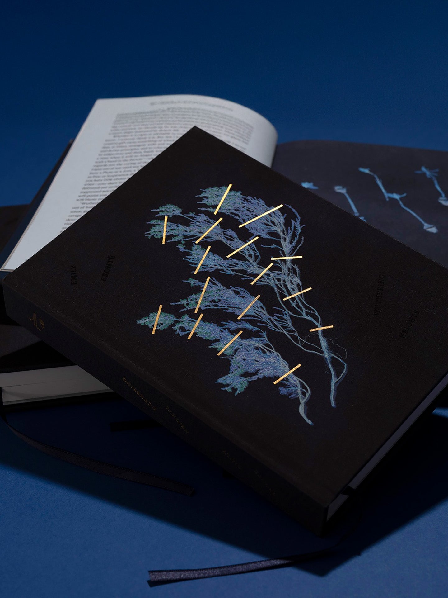 Wuthering Heights by Emily Brontë