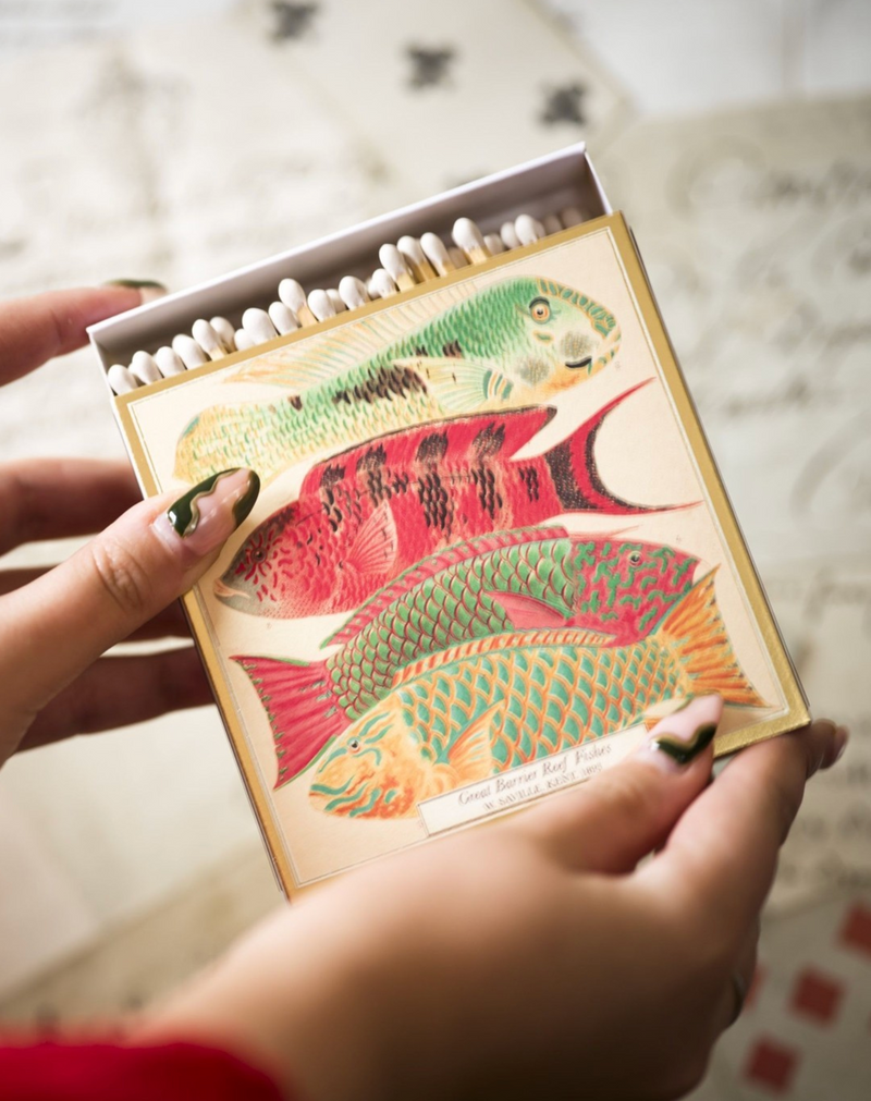 Matchbox with colorful fish illustration held by a person