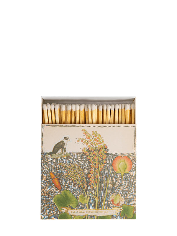 Chien botanical drawing matches