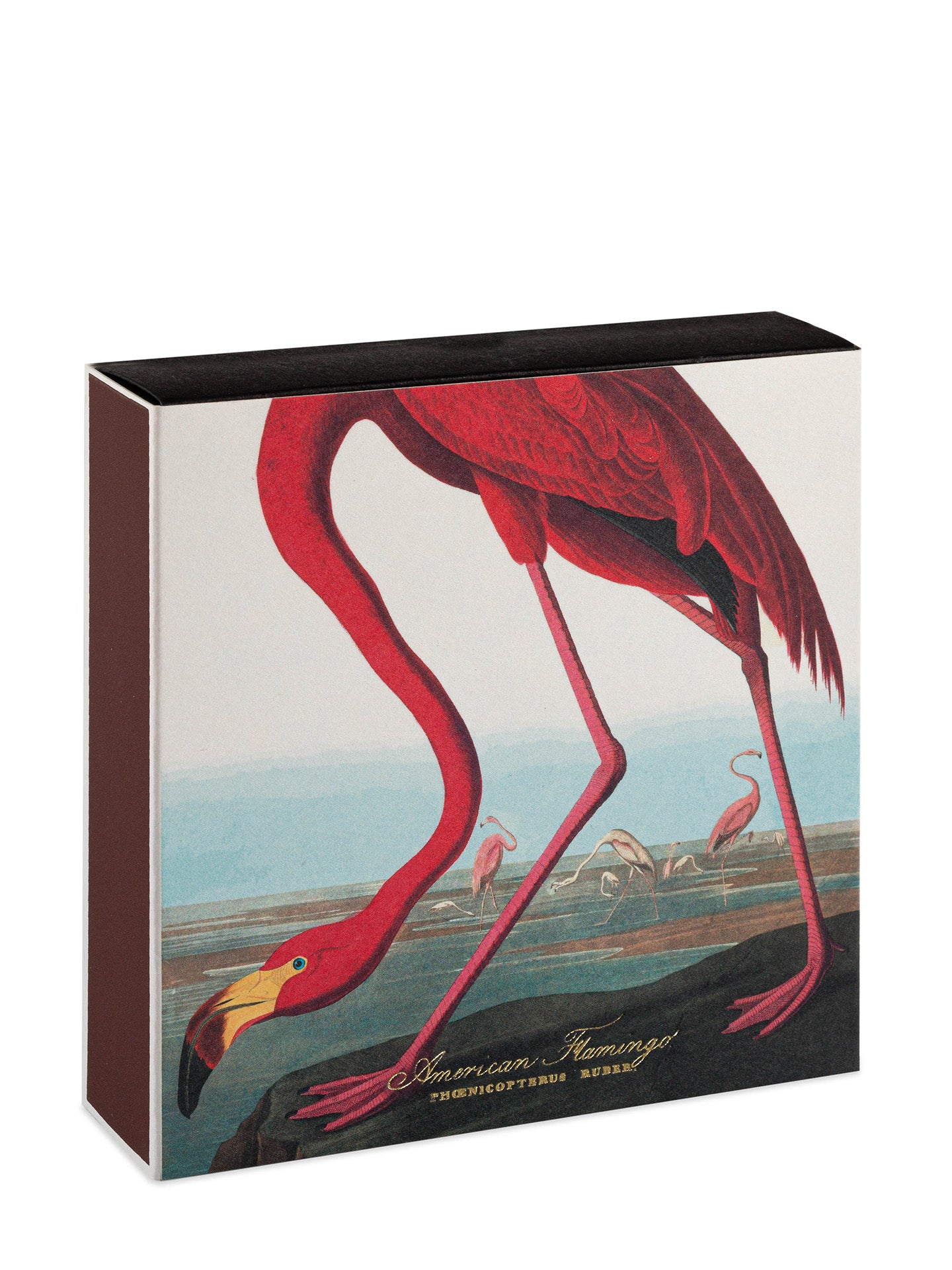 The American Flamingo matches by Audubon