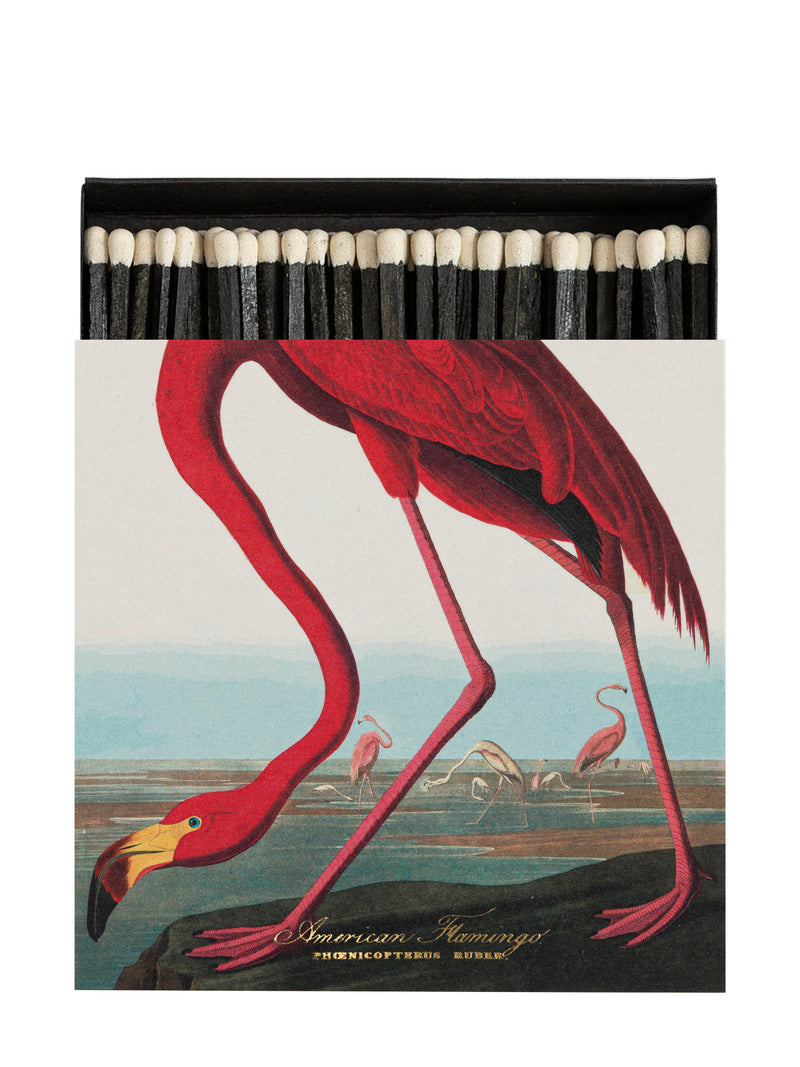 The American Flamingo matches by Audubon