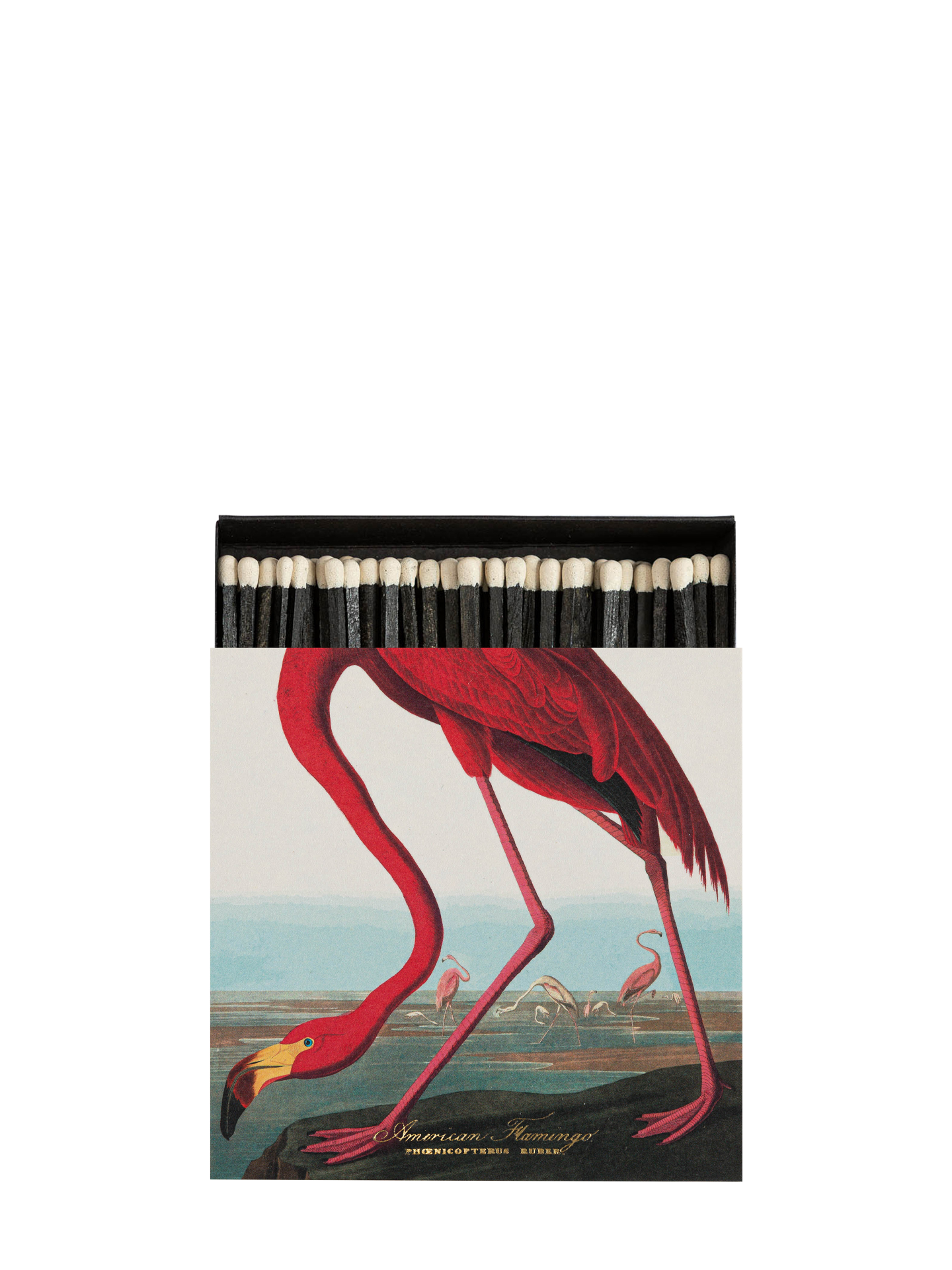 The American Flamingo matches by Audubon