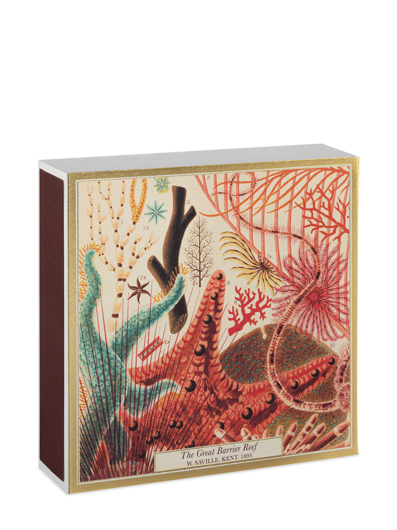 Great Barrier Reef (Natural History Museum) matches
