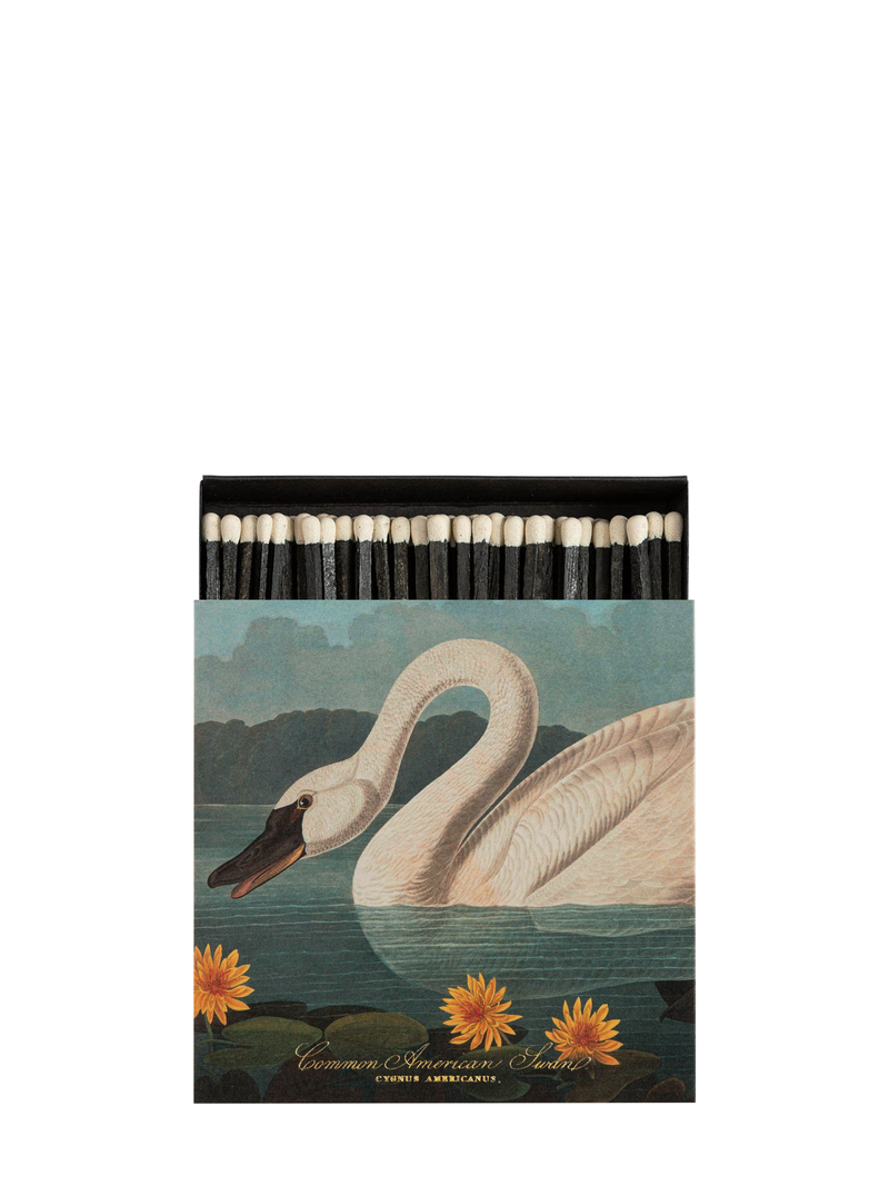 The Common American Swan matches by Audubon