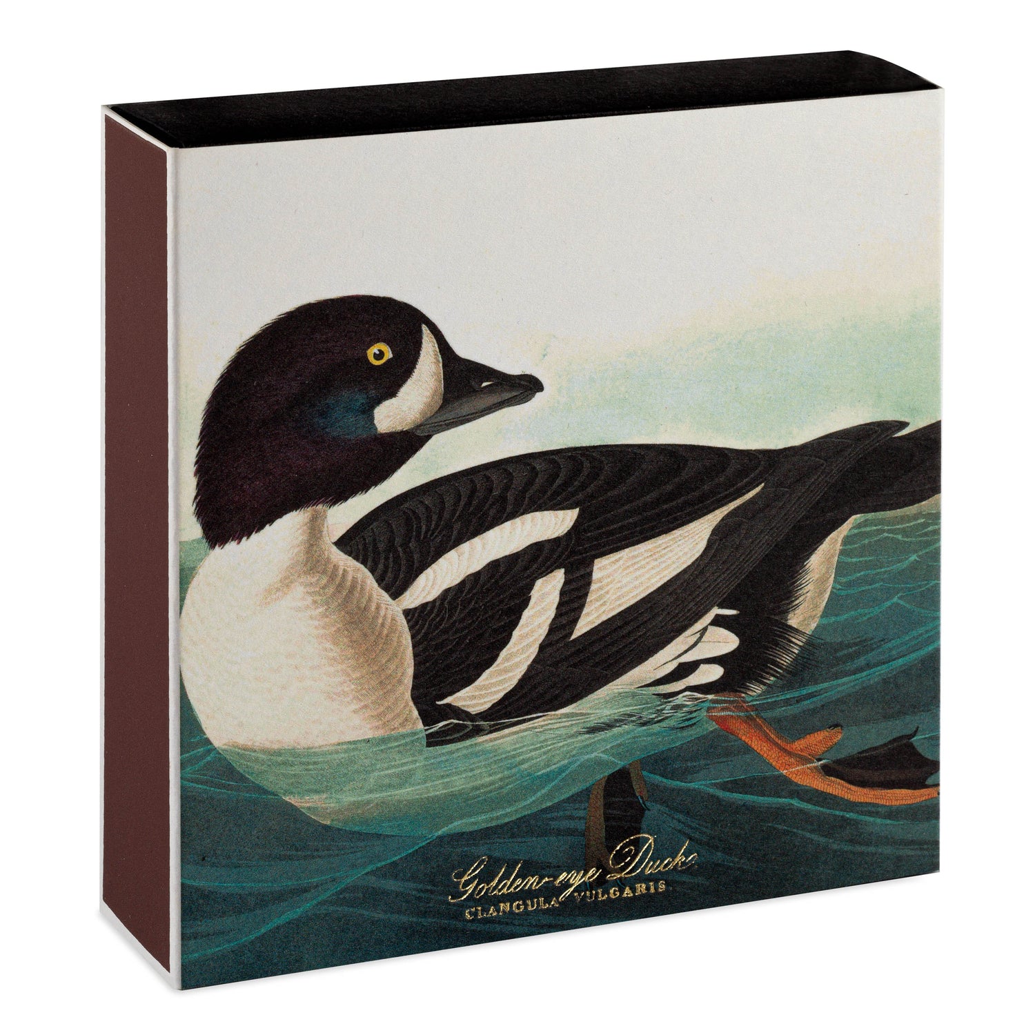 The Golden-eye Duck matches by Audubon
