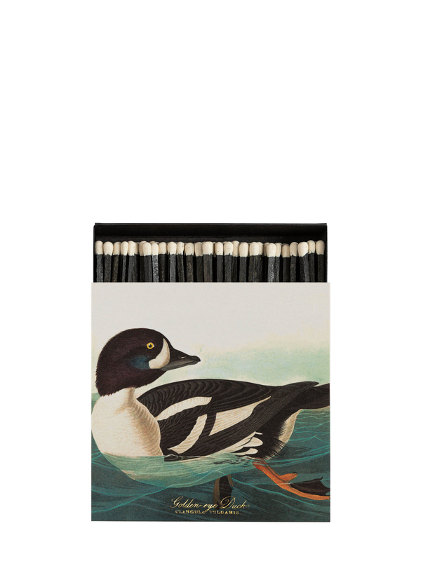 Golden-Eye Duck Matches by Audubon