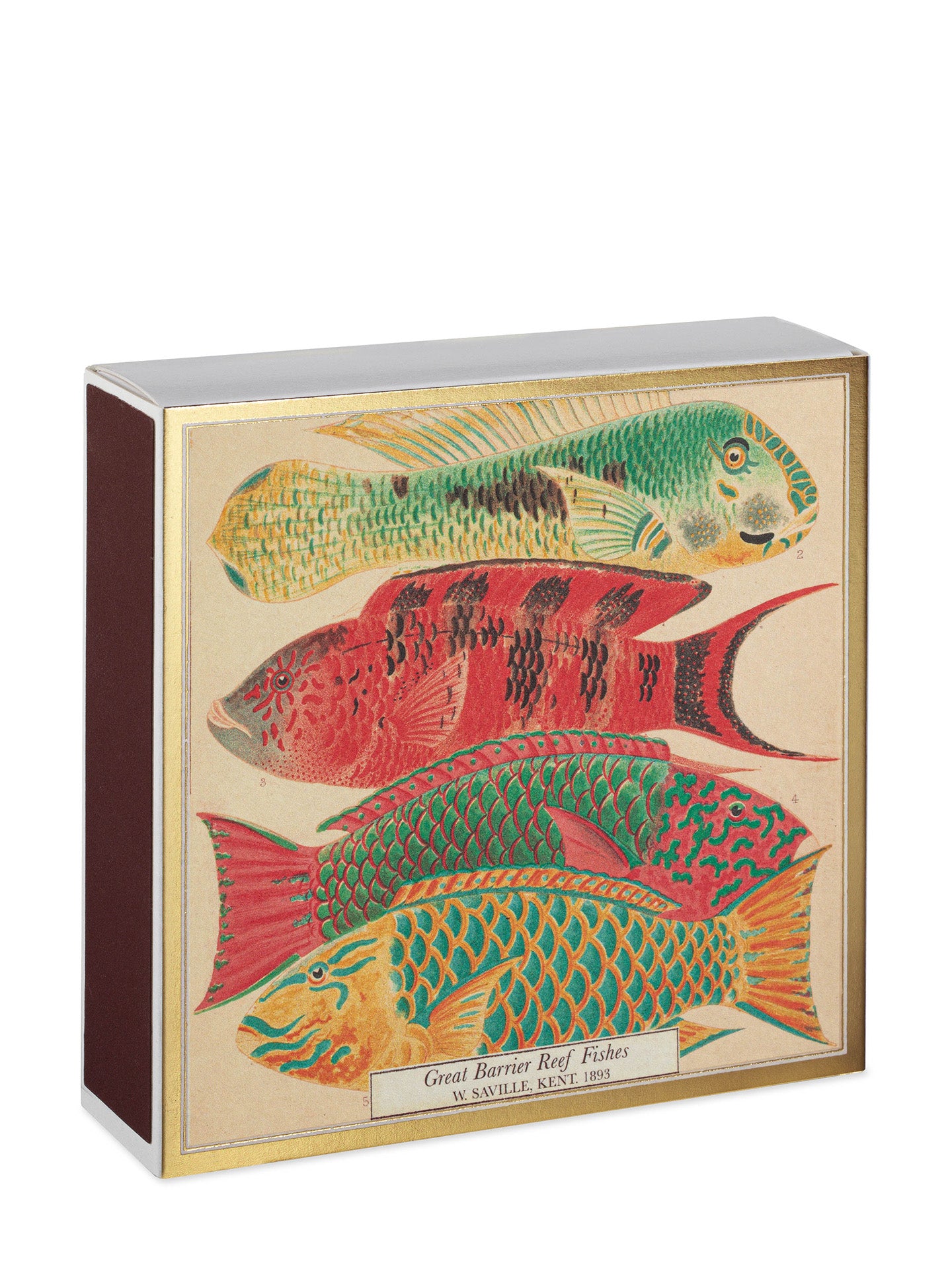 Fish Natural History Museum matches