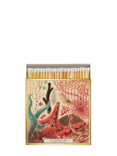 Great Barrier Reef (Natural History Museum) matches