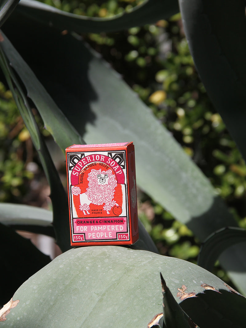 Red soap box with a lion design on a green leafy background