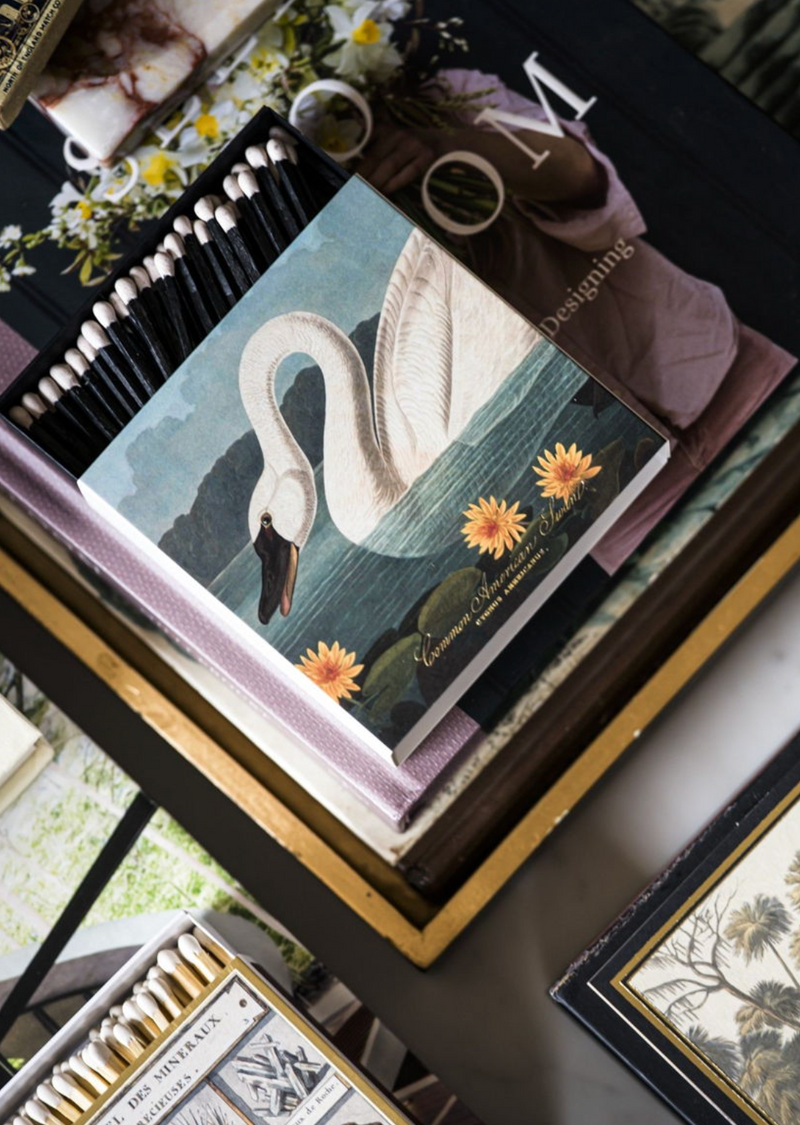 The Common American Swan matches by Audubon