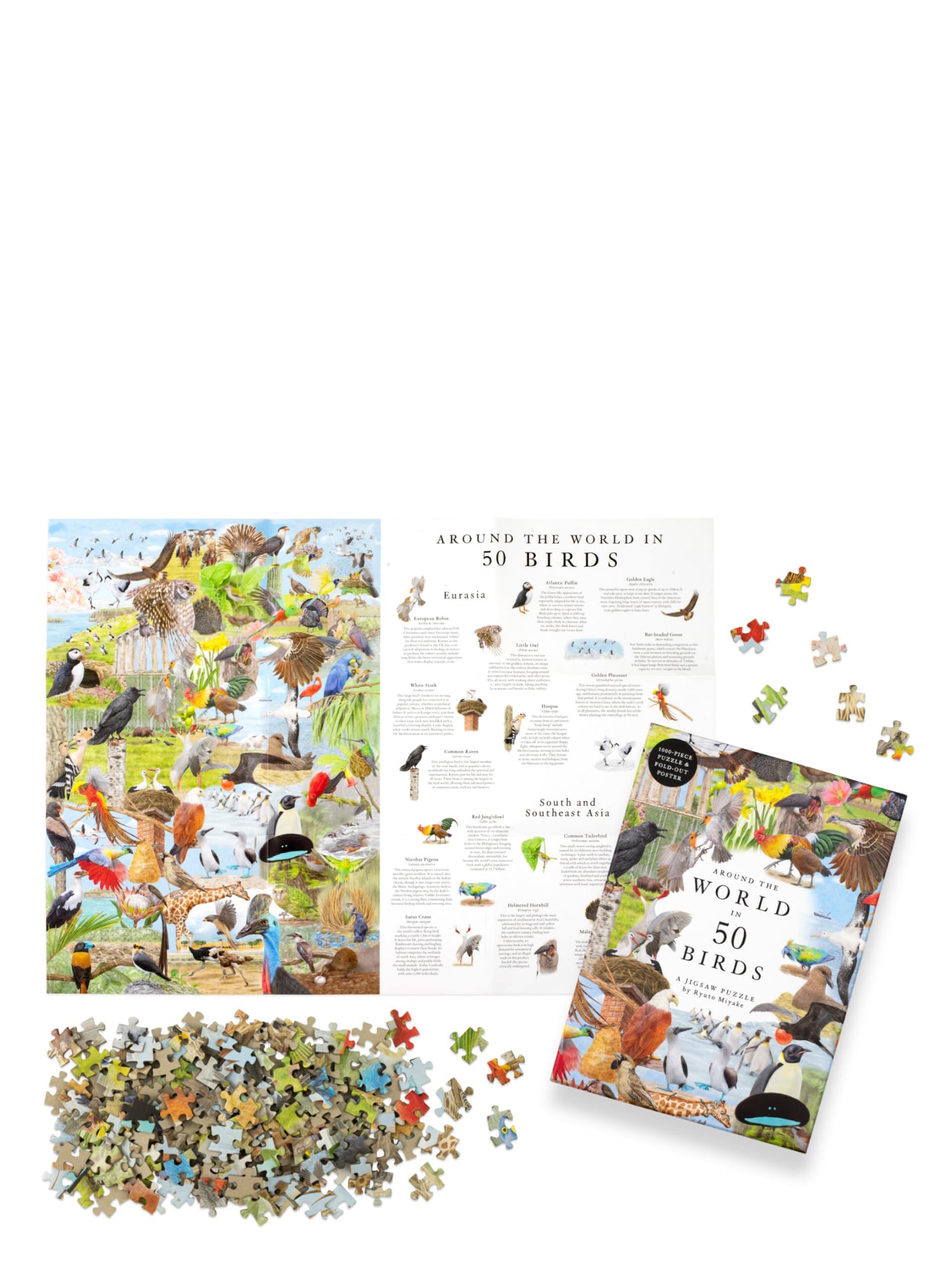 Around the World in 50 Birds puzzle (1000 pieces)