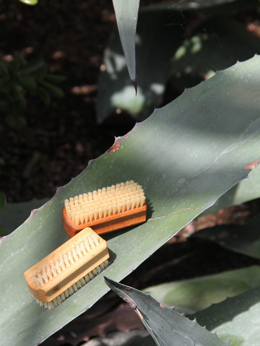 Dark thermowood nail brush, strong light bristle
