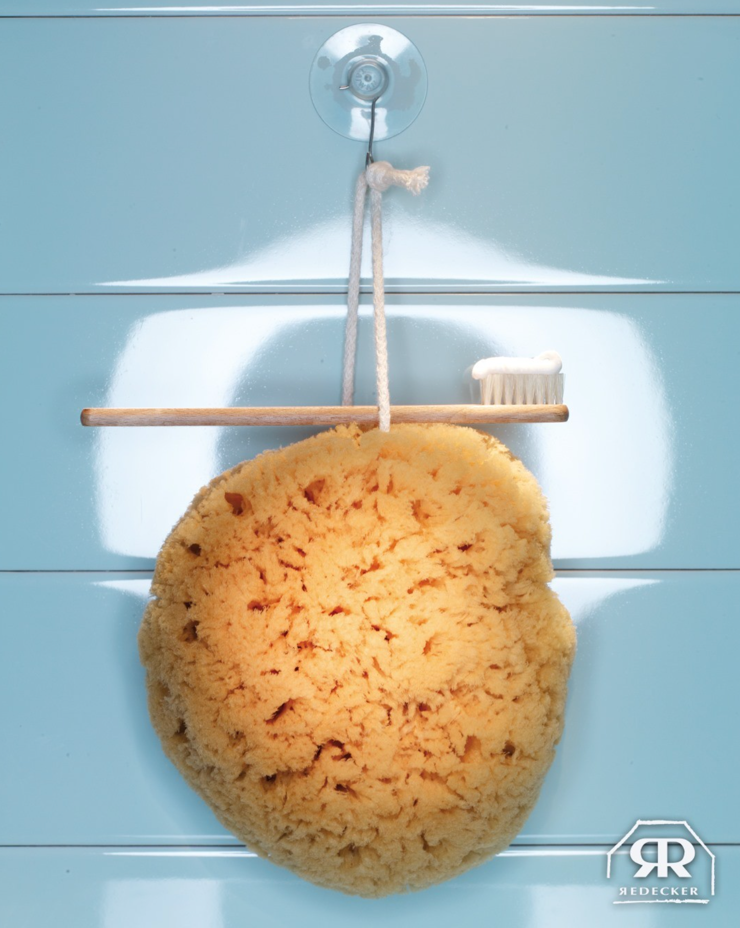Natural sea sponge