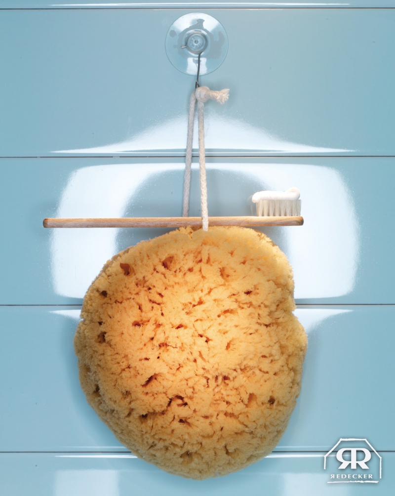 Natural sea sponge