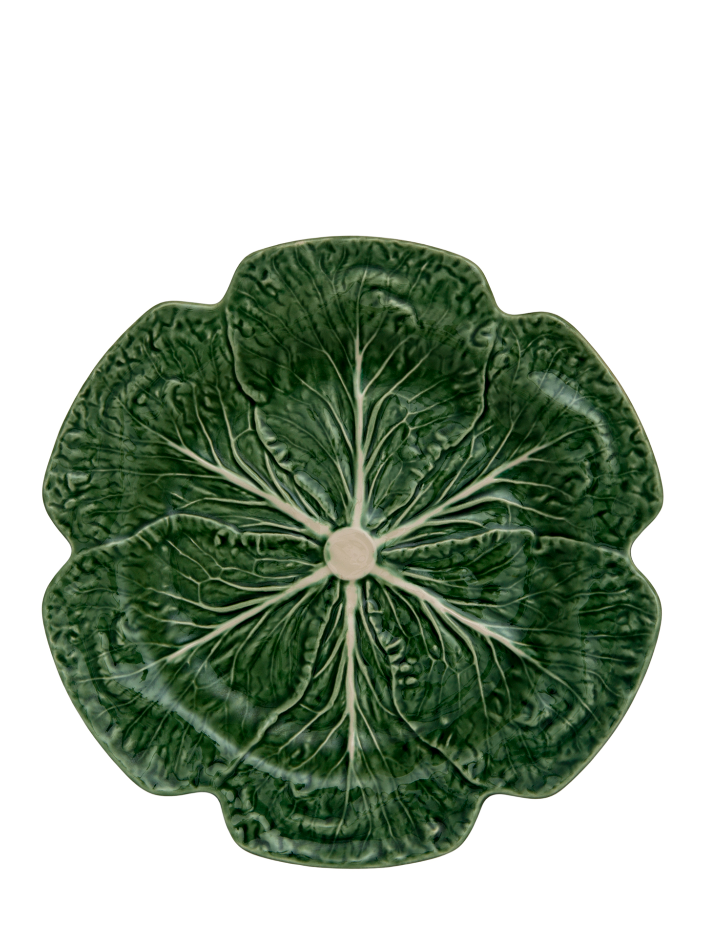 Extra Large Dinner Plate Cabbage, Green