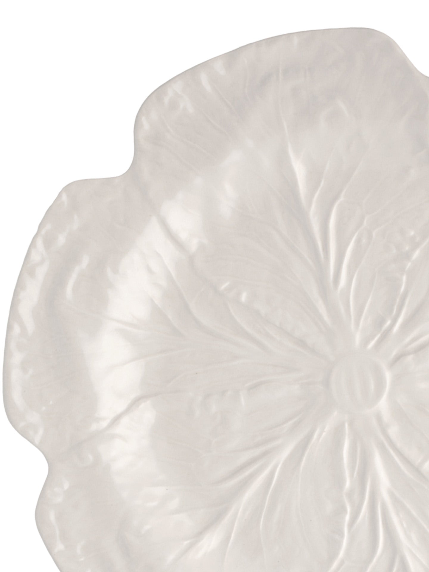 Extra Large Dinner Plate Cabbage, Ivory