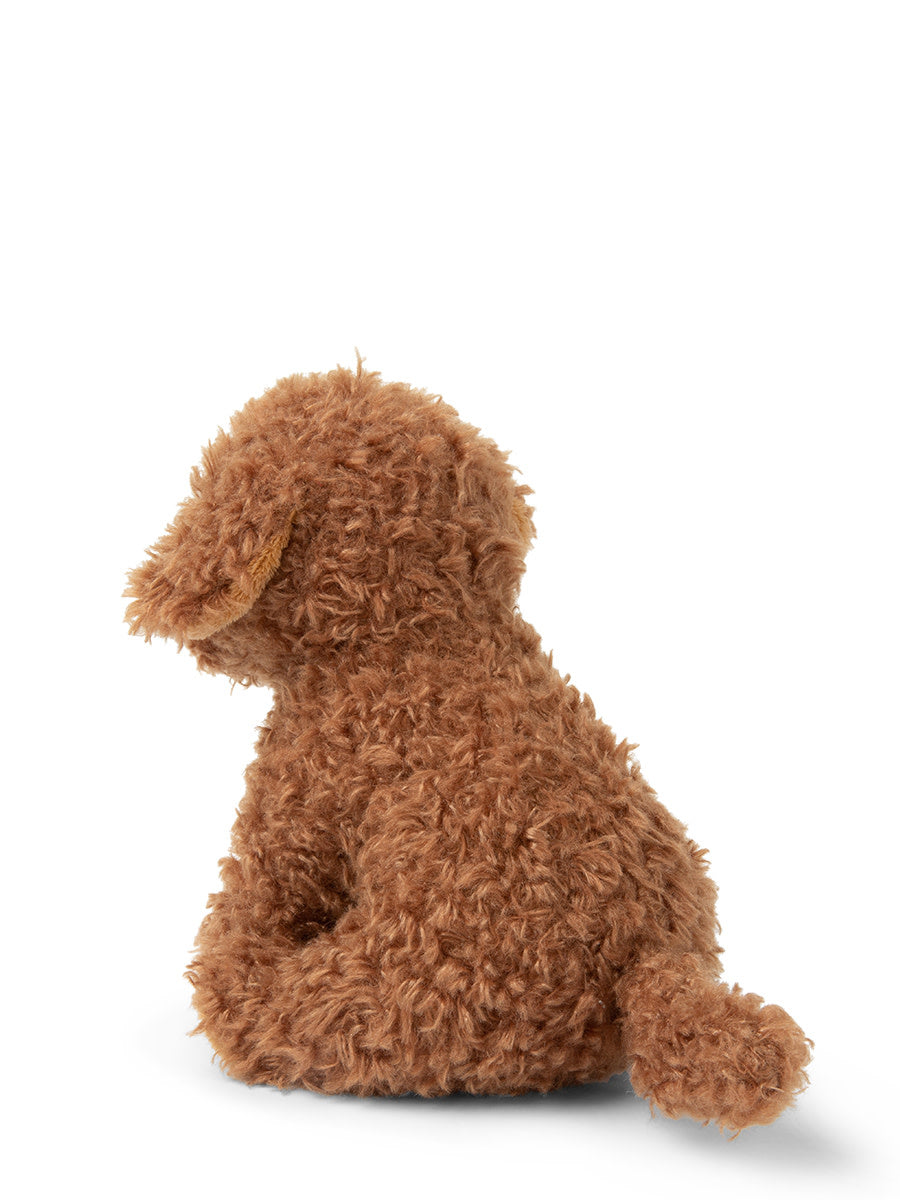 Stacy the Labradoodle in giftbox (17 cm)