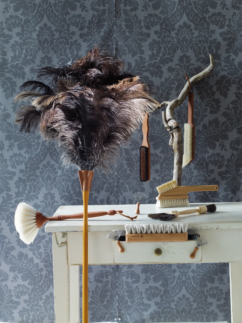 Set of cleaning brushes and a feather duster on a white surface with a patterned wall in the background.