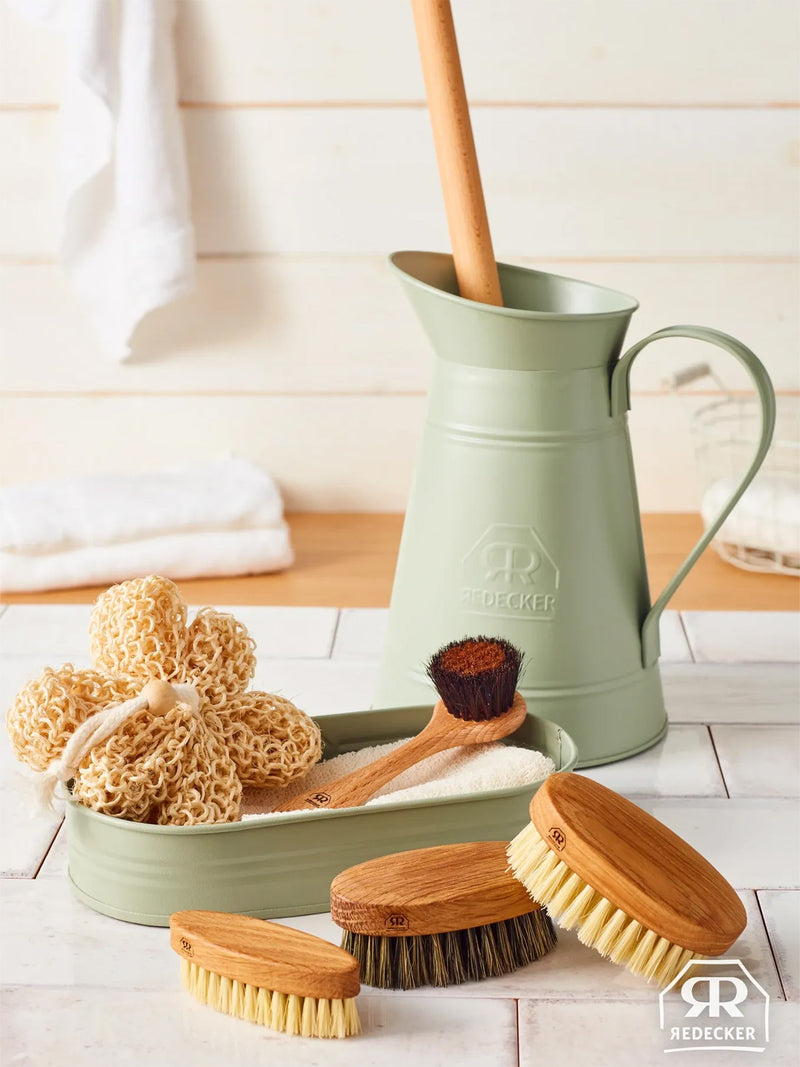 Ionic face brush