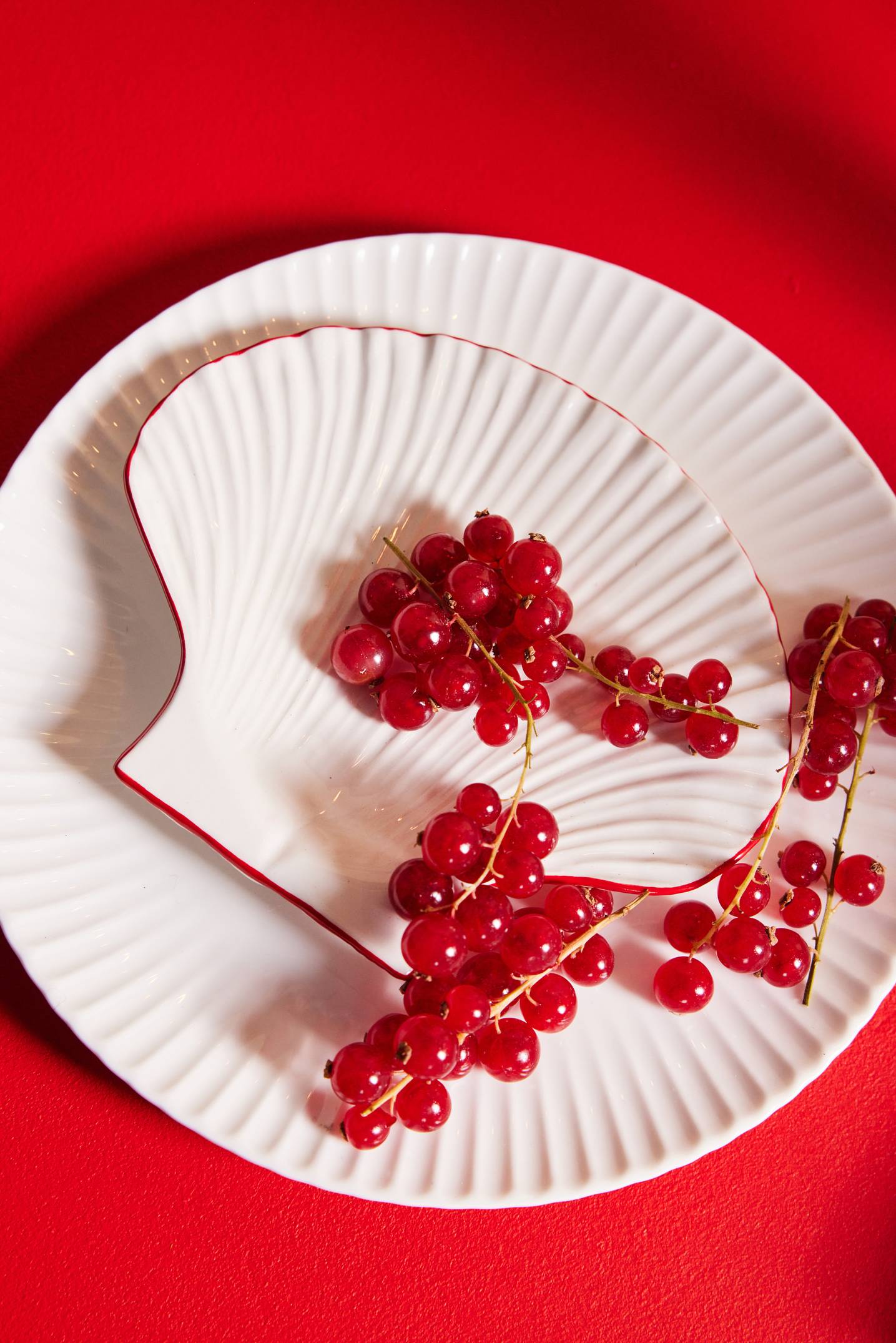 Shell line plate, white/red