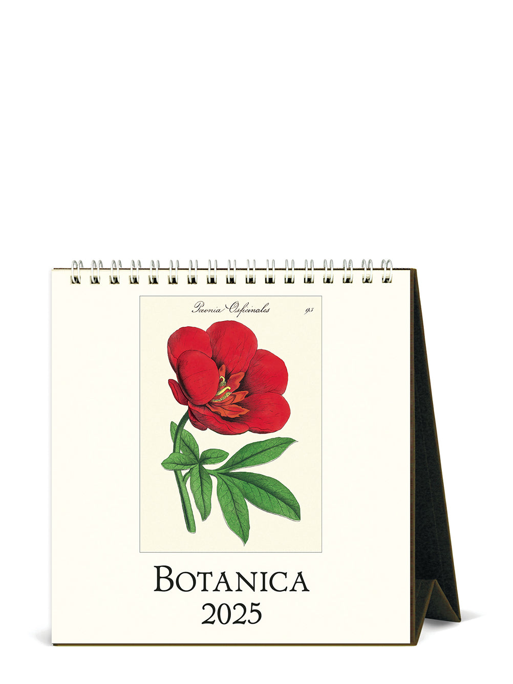 Botanica Desk Calendar 2025