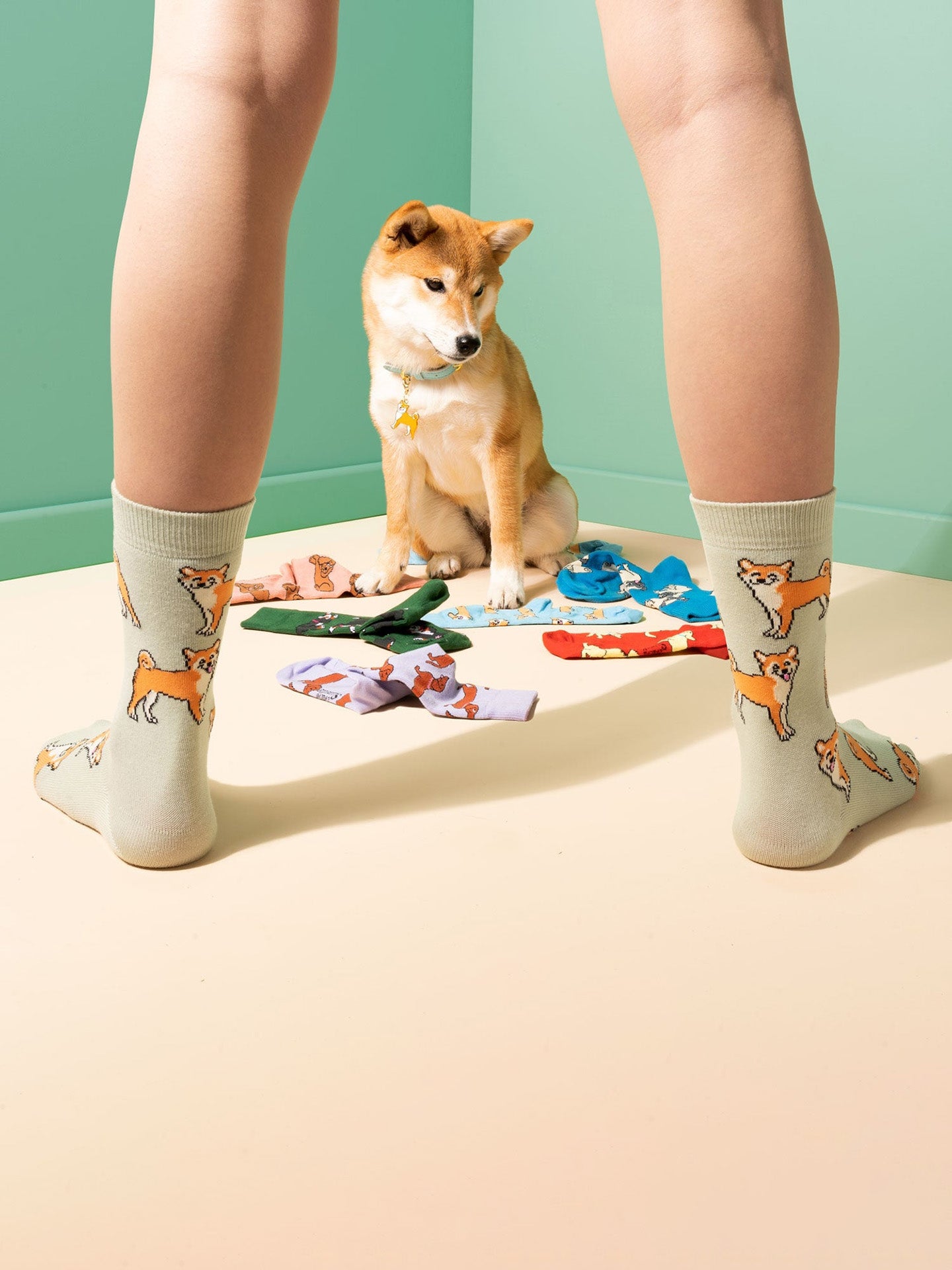 Shiba socks