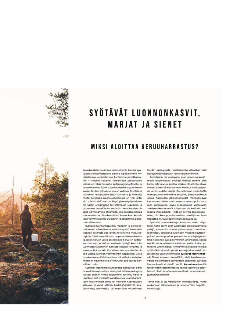 A part of the book Retkiruokaa luonnosta has an illustration of a person walking through a forest with a bucket as the start of a chapter headlined as 'Syötävät luonnonkasvit, marjat ja sienet', subheadlined 'Miksi aloittaa keruuharrastus' as an overlay on a white background