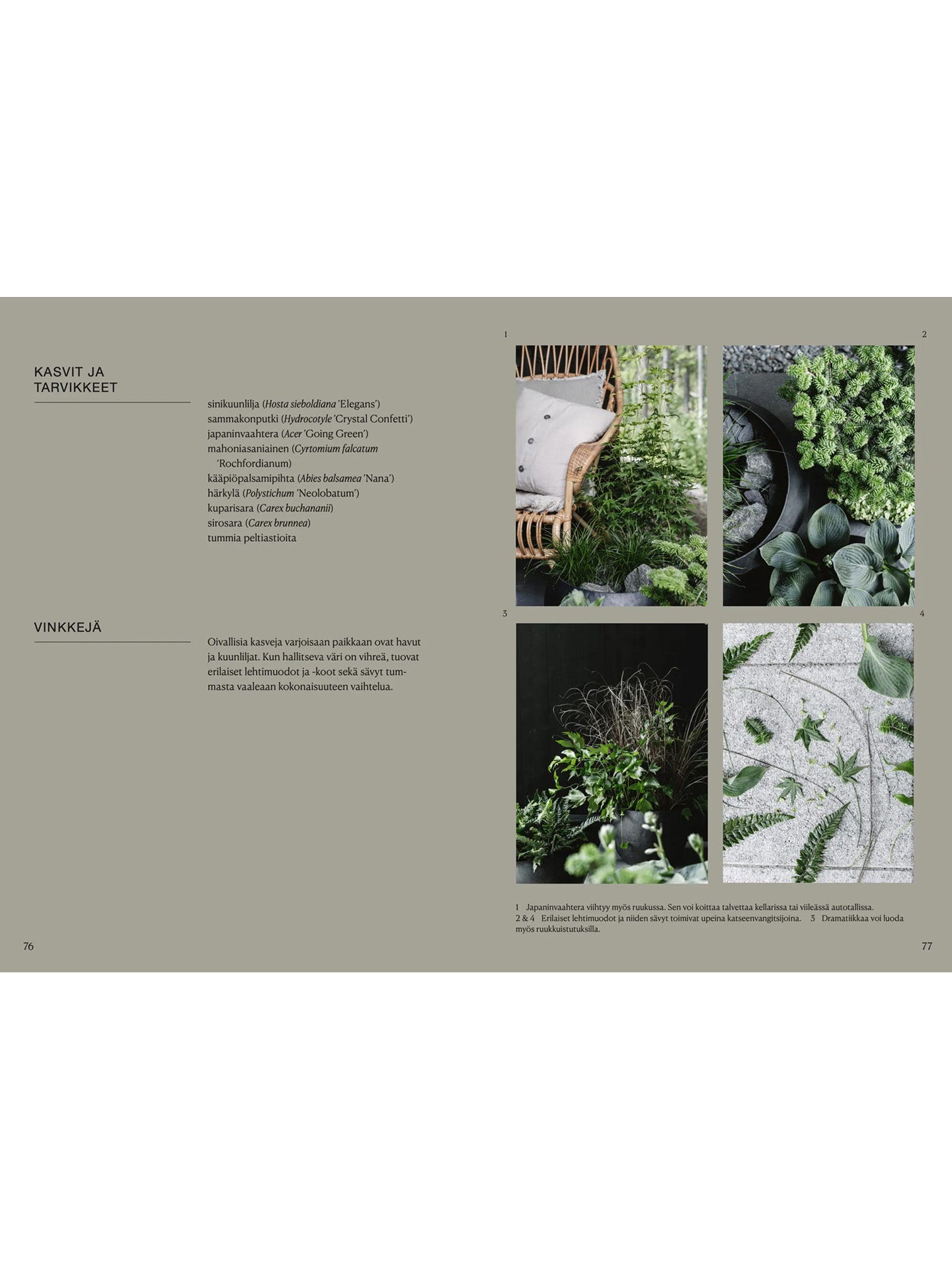 Ruukuissa Ympäri Vuoden