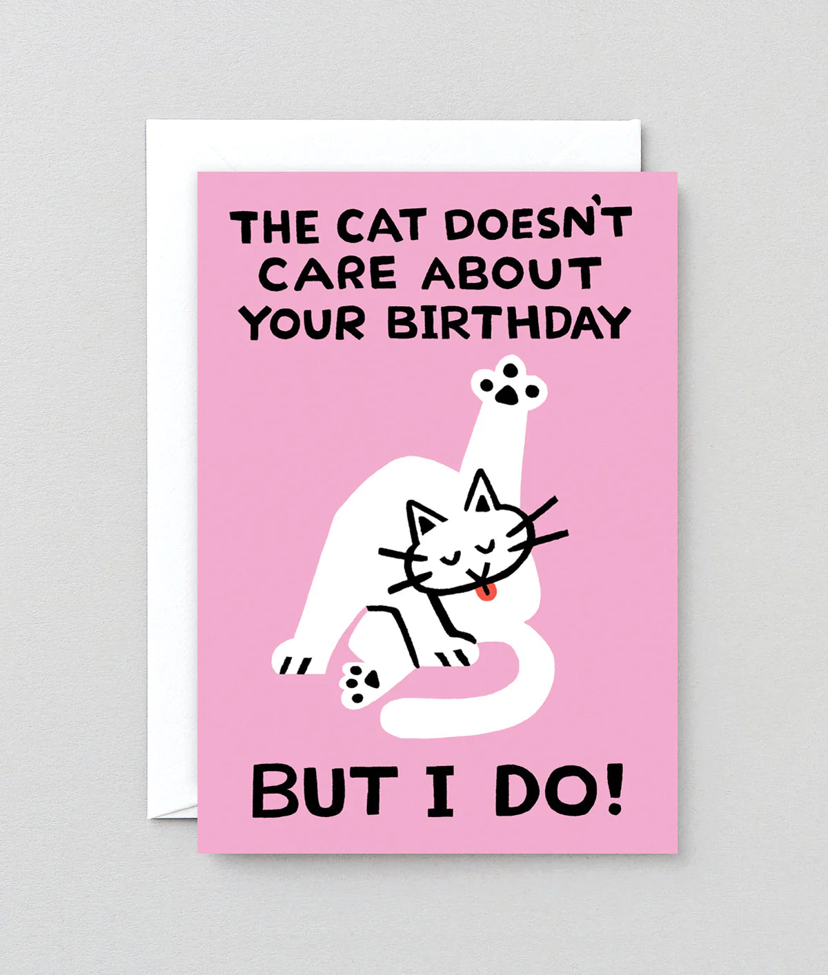 The Cat Doesn't Care birthday card