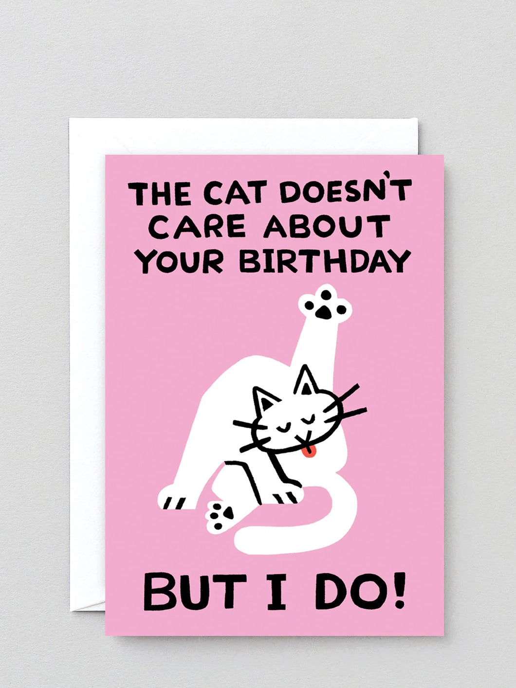 The Cat Doesn't Care birthday card